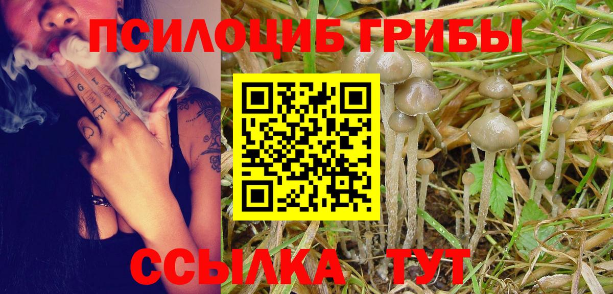 Симферополь  Псилоцибиновые грибы MAGIC MUSHROOMS  Псилоцибиновые грибы Psilocybe  купить наркоту  Вход с VPN 
